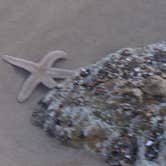 Review photo of Canyon Campground — Leo Carrillo State Park Campground by Michael K., September 17, 2016