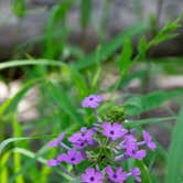 Review photo of Tawney Farm by Jennifer B., July 3, 2019