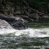 Review photo of Tawney Farm by Jennifer B., July 3, 2019