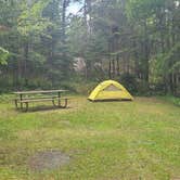 Review photo of Woodenfrog Campground by Tori K., February 10, 2025