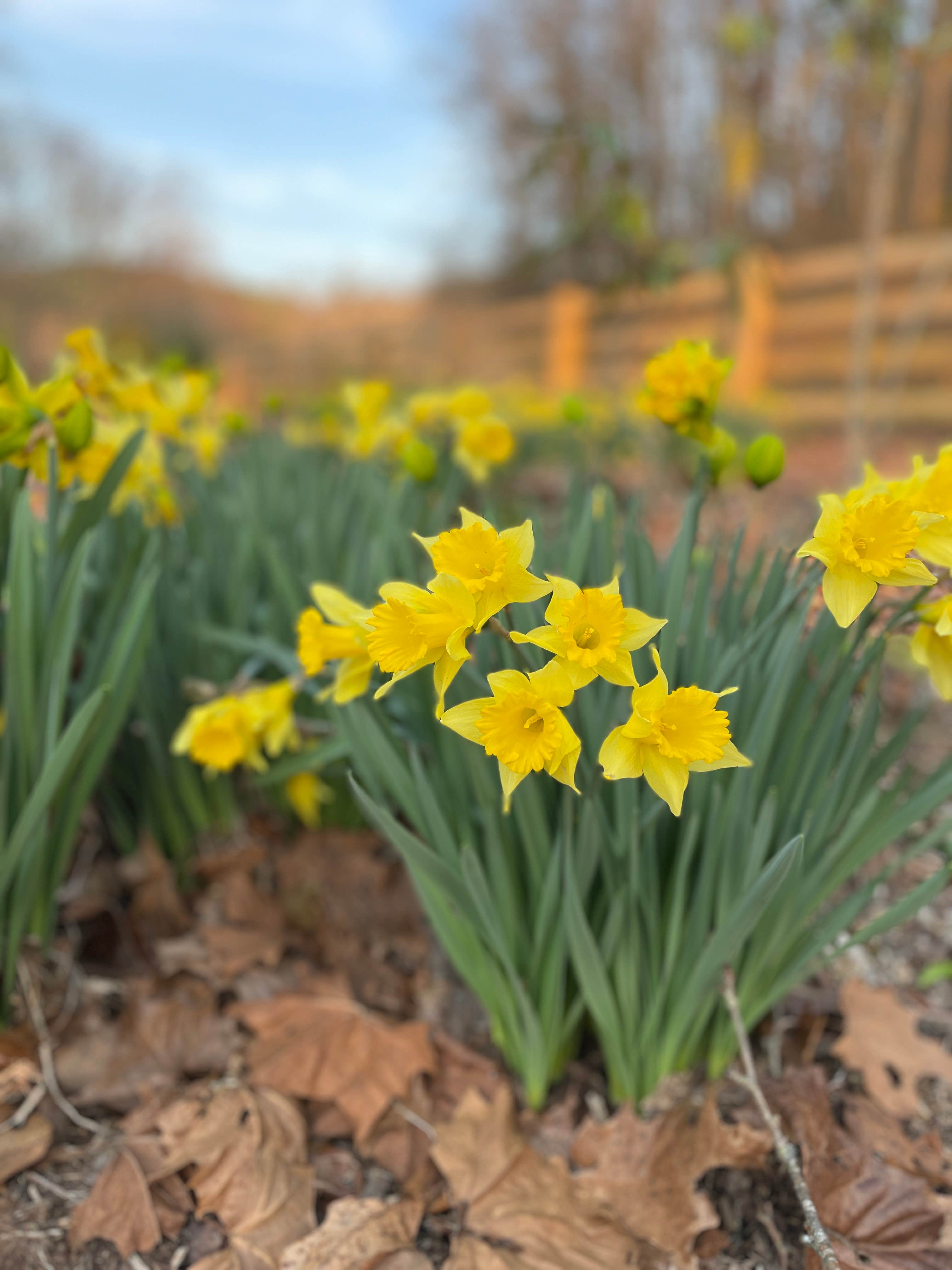 Camper-submitted photo at Peachtree Cove RV Park near Farner, TN