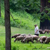 Review photo of Tawney Farm by Jennifer B., July 3, 2019