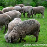 Review photo of Tawney Farm by Jennifer B., July 3, 2019