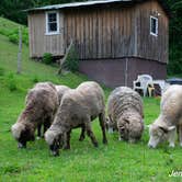 Review photo of Tawney Farm by Jennifer B., July 3, 2019