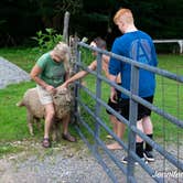 Review photo of Tawney Farm by Jennifer B., July 3, 2019