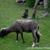 Review photo of Tawney Farm by Jennifer B., July 3, 2019