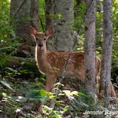 Review photo of Tawney Farm by Jennifer B., July 3, 2019