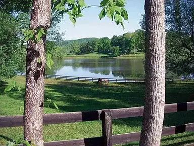 Camper-submitted photo at Owls Retreat Campground near Sautee Nacoochee, GA