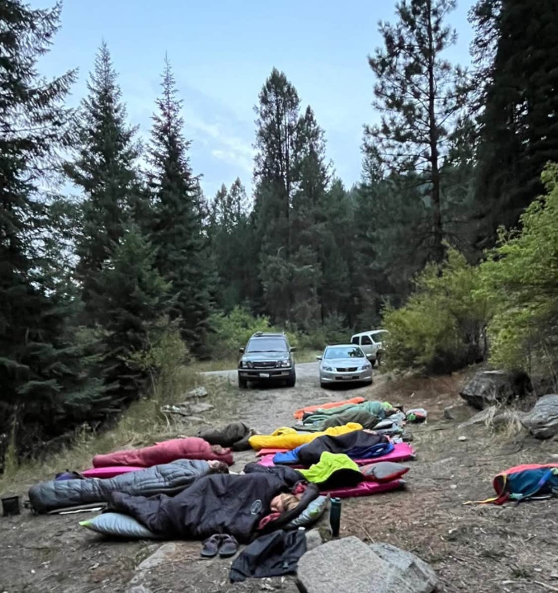 Camper submitted image from Hazard Creek Dispersed Camping - 1