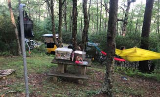 Stacey S.'s photo at Doughton Park Campground — Blue Ridge Parkway near Blue Ridge Parkway