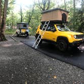 Review photo of Davidson River Campground by Stacey S., July 3, 2019