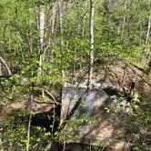 Review photo of Medoc Mountain State Park Campground by Stacey S., July 3, 2019