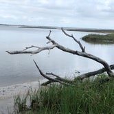 Review photo of Hammocks Beach State Park Campground by Stacey S., July 3, 2019