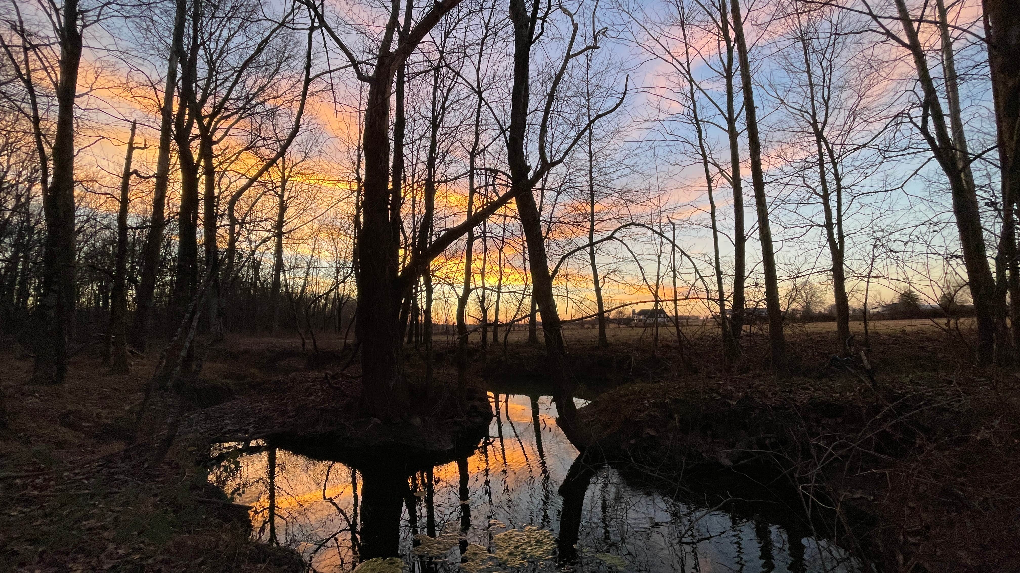 Camper submitted image from Flatwoods Motorcamp - 2