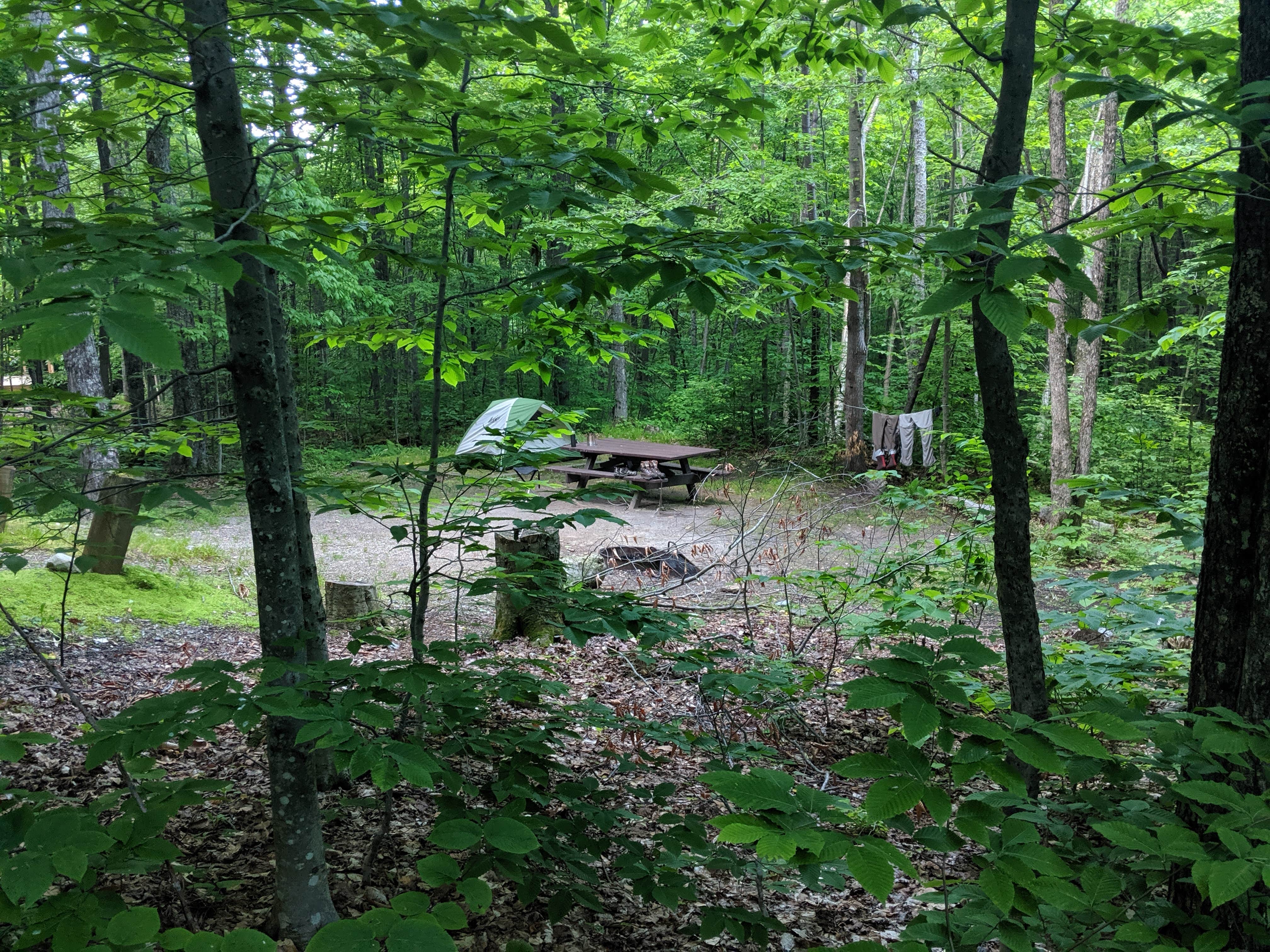 Camper submitted image from Chittenden Brook Campground - 2