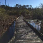 Review photo of Goose Creek State Park Campground by Stacey S., July 3, 2019