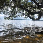 Review photo of Goose Creek State Park Campground by Stacey S., July 3, 2019