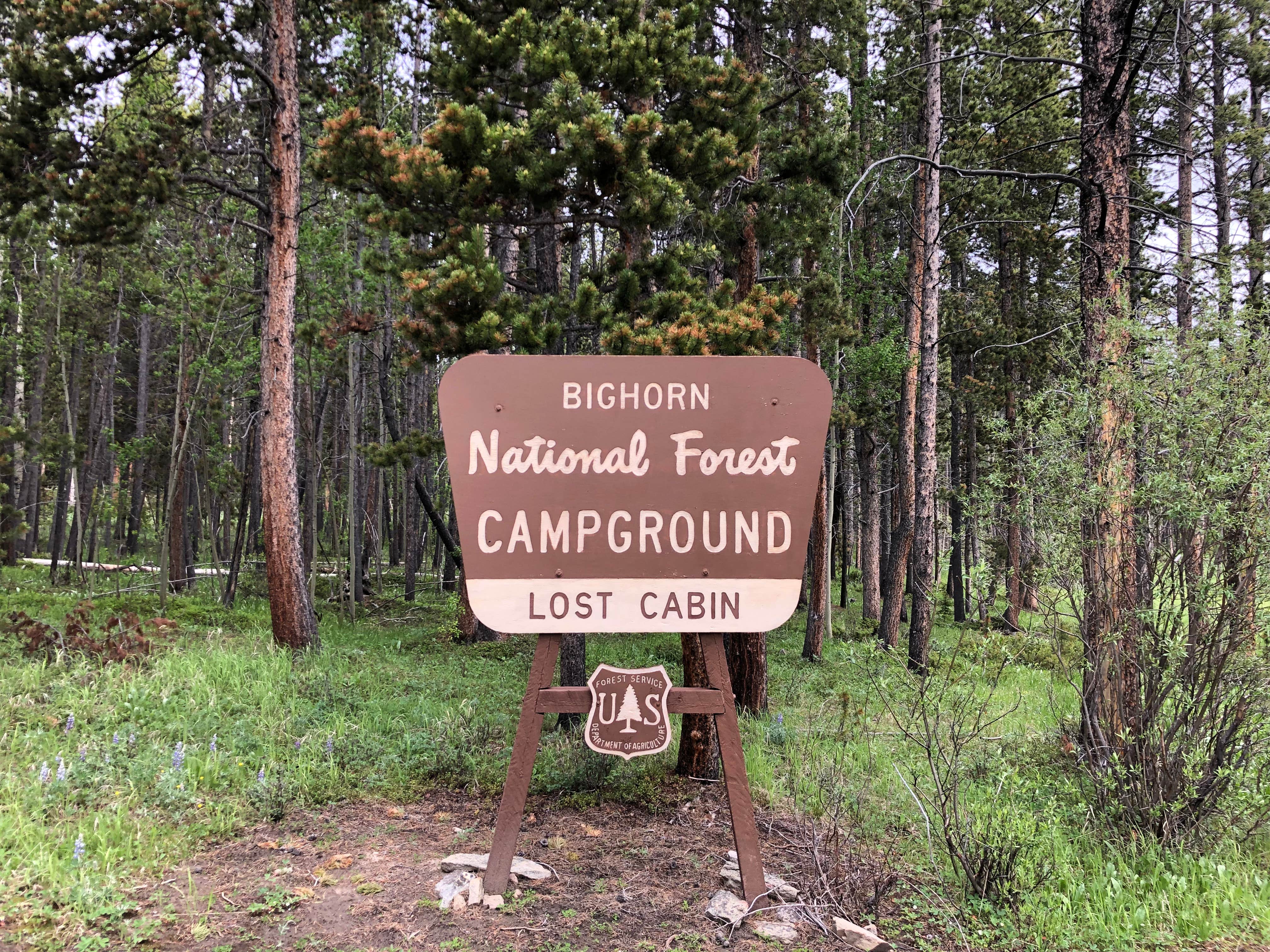 Camper submitted image from Lost Cabin Campground - 2