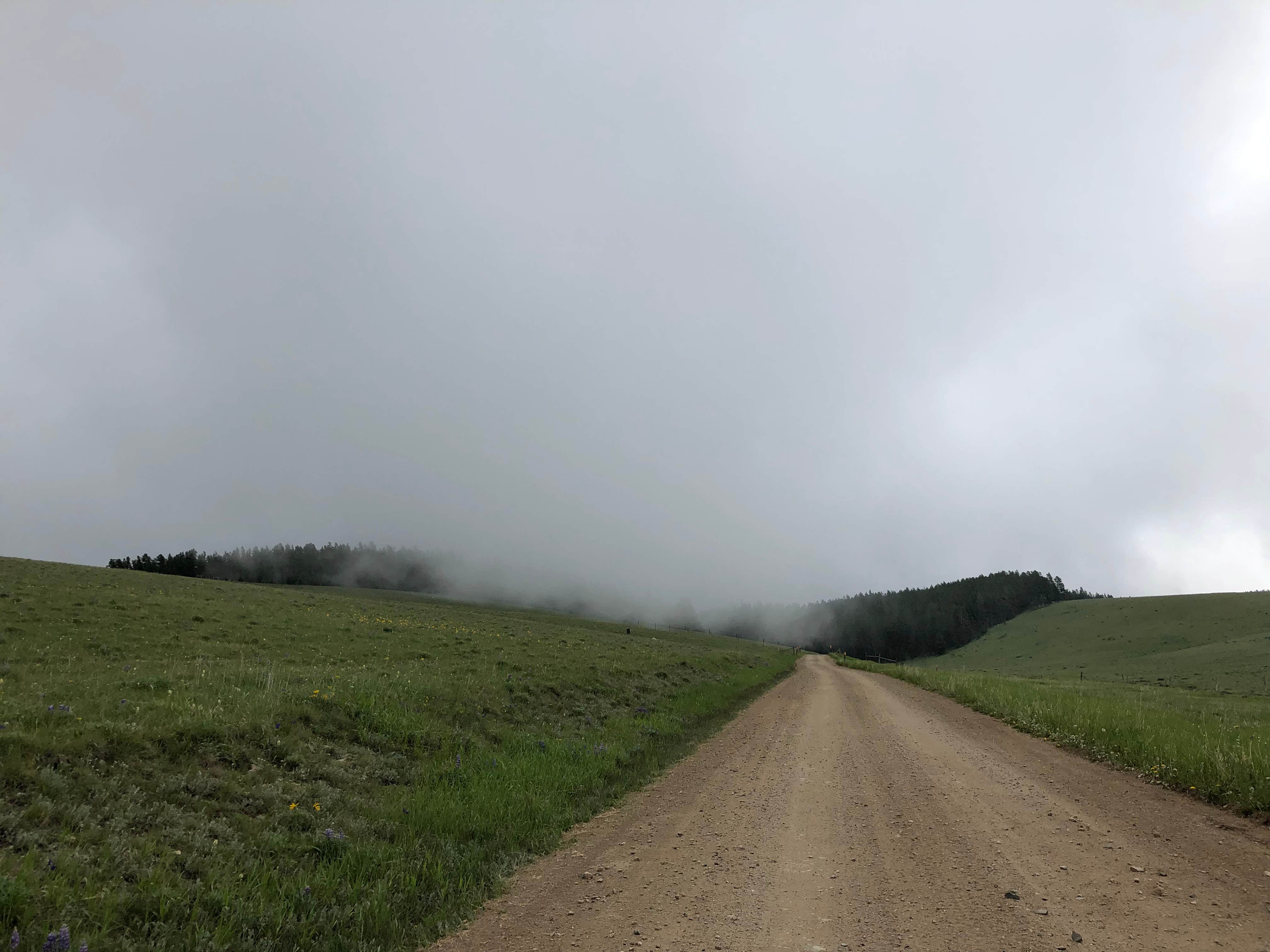 Camper submitted image from Crazy Woman Canyon Road - dispersed camping - 3