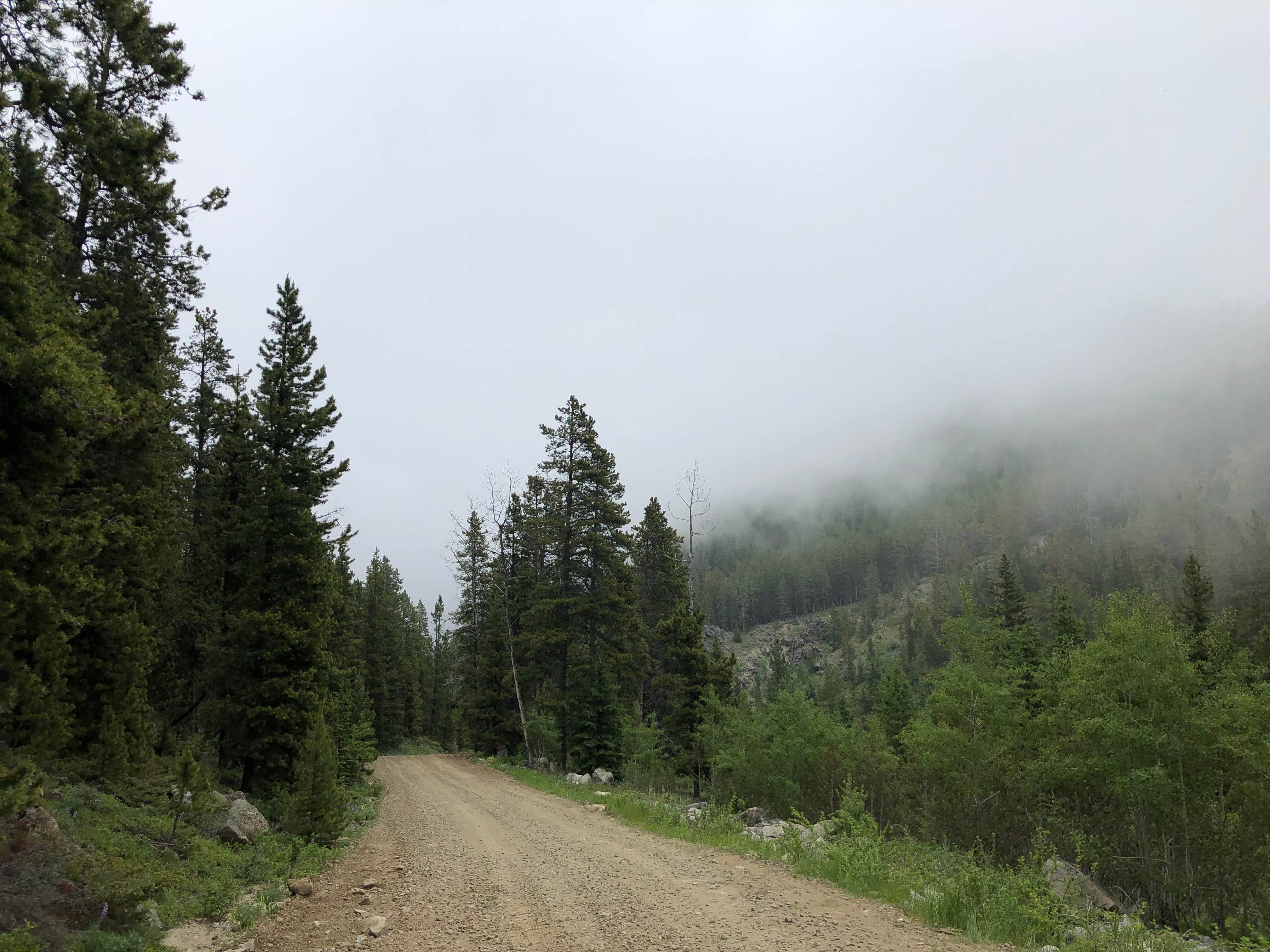 Camper submitted image from Crazy Woman Canyon Road - dispersed camping - 2