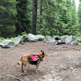 Review photo of Crazy Woman Canyon Road - dispersed camping by Art S., July 3, 2019