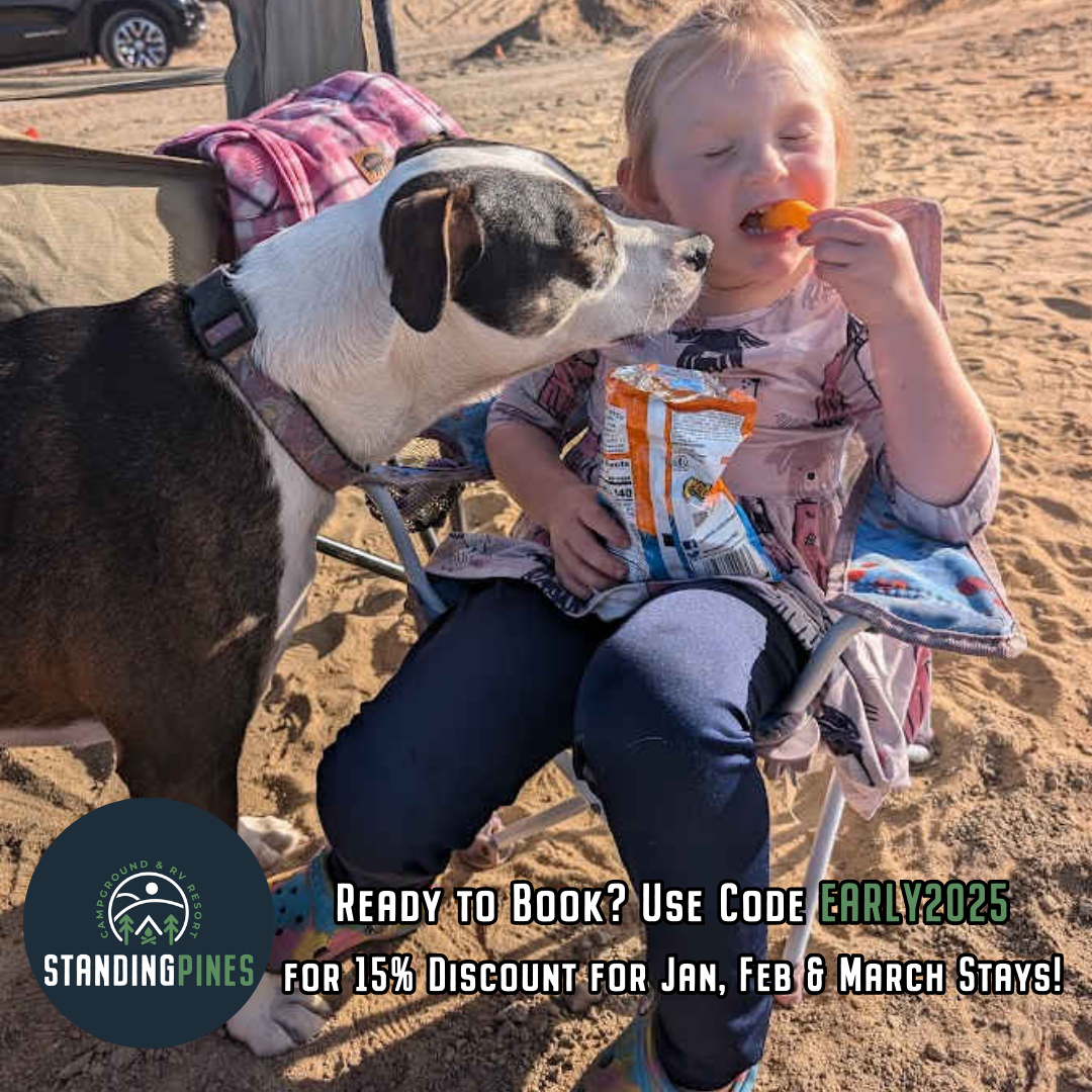 Amy B.'s photo of camping with pets at Standing Pines RV Resort & Campground near Hartsville, SC