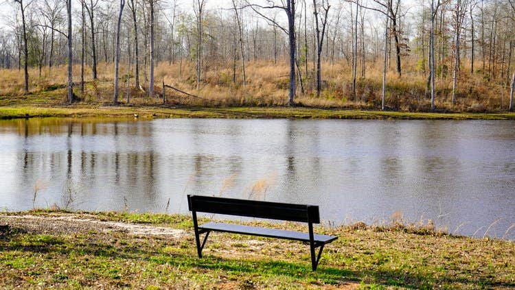 Camper-submitted photo at 4 County RV Park & Campground near Gray, GA