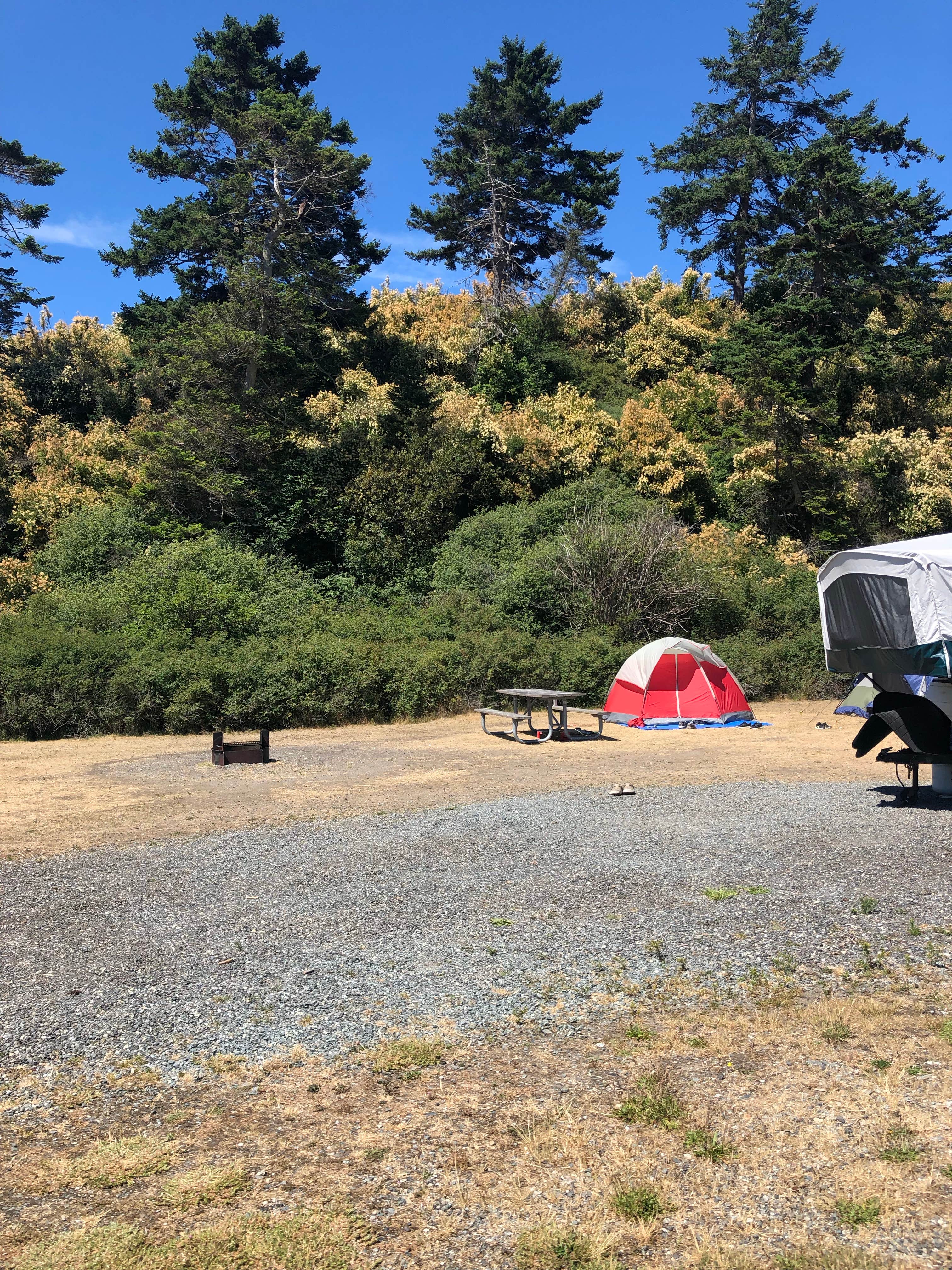 Tom K.'s photo at Fort Casey Campground near Langley, WA