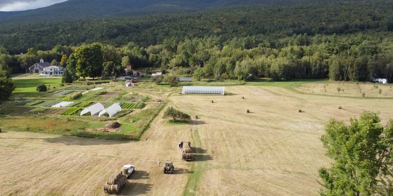 Camper submitted image from Sacred Nectar Sanctuary