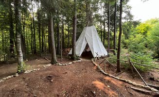 Nick T.'s photo at Sacred Nectar Sanctuary near Center Harbor, NH