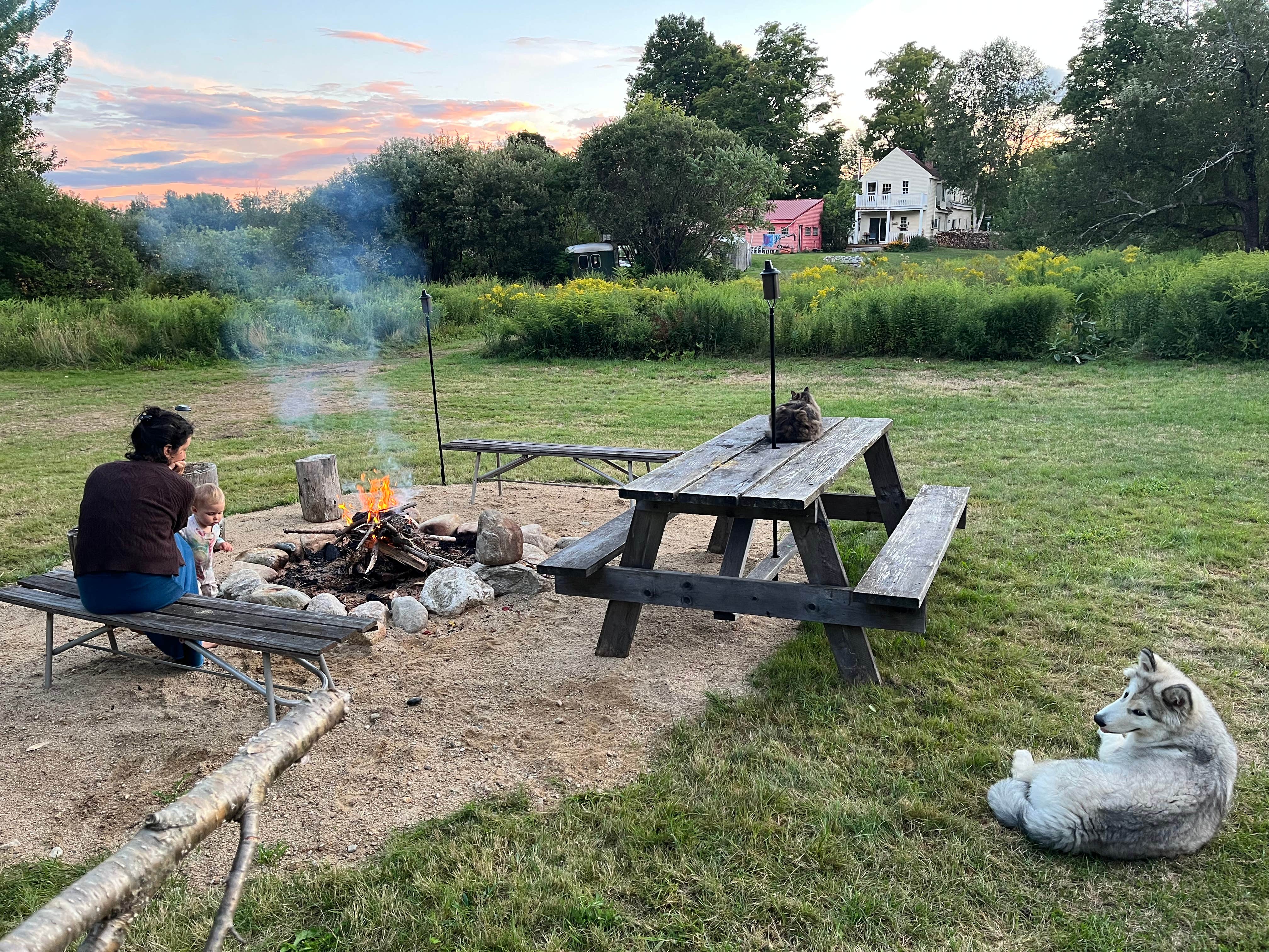 Nick T.'s photo of camping with pets at Sacred Nectar Sanctuary near Plymouth, NH
