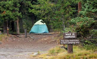 The Dyrt's photo at Lewis Lake — Yellowstone National Park near John D. Rockefeller Jr. Memorial Parkway