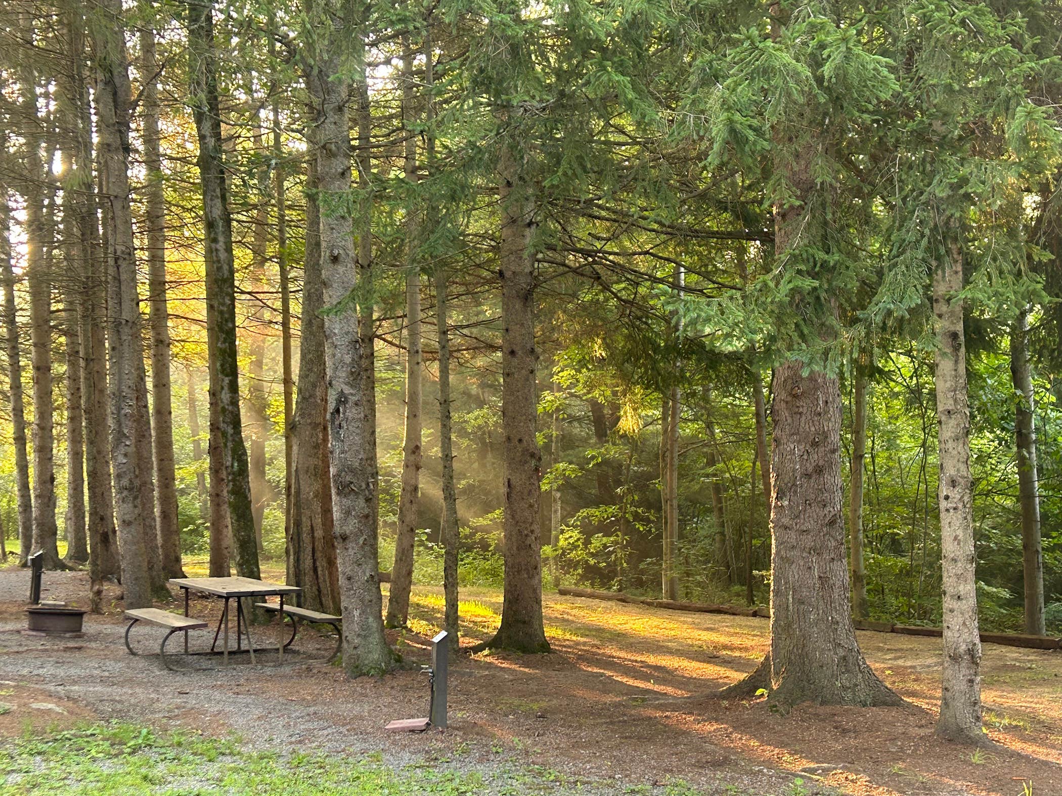 Camper-submitted photo at Rustic Acres near Marienville, PA