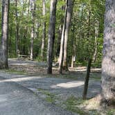 Review photo of Laurel Hill State Park Campground by Lee D., February 14, 2025