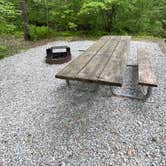 Review photo of Laurel Hill State Park Campground by Lee D., February 14, 2025