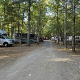 Review photo of Megunticook Campground by Lee D., February 15, 2025