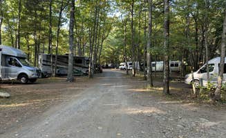 Lee D.'s photo of rv camping at Megunticook Campground near Owls Head, ME
