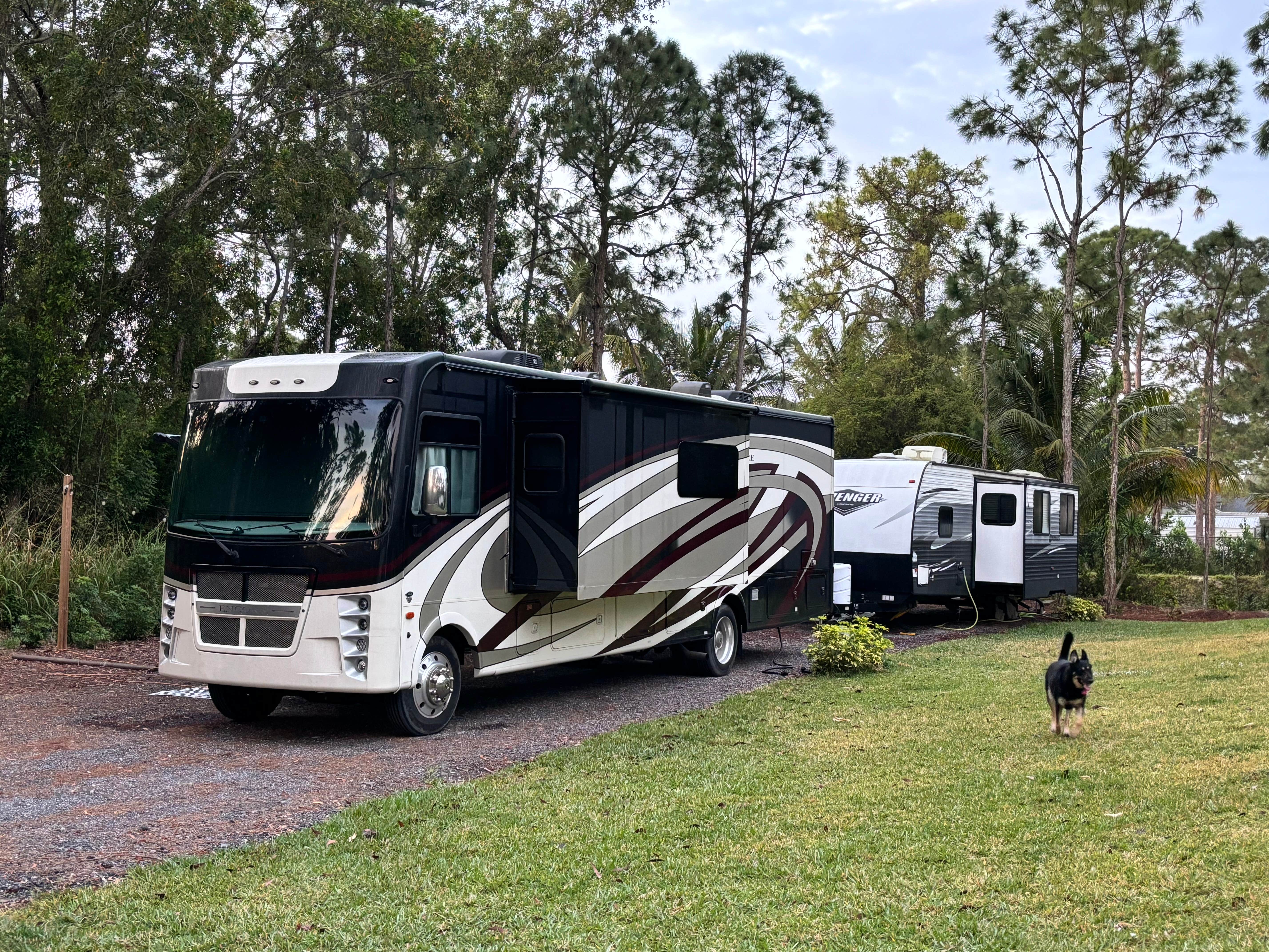 Toni C.'s photo of camping with pets at Poolside Pines RV Parking with Pool & Hot Tub near Jensen Beach, FL
