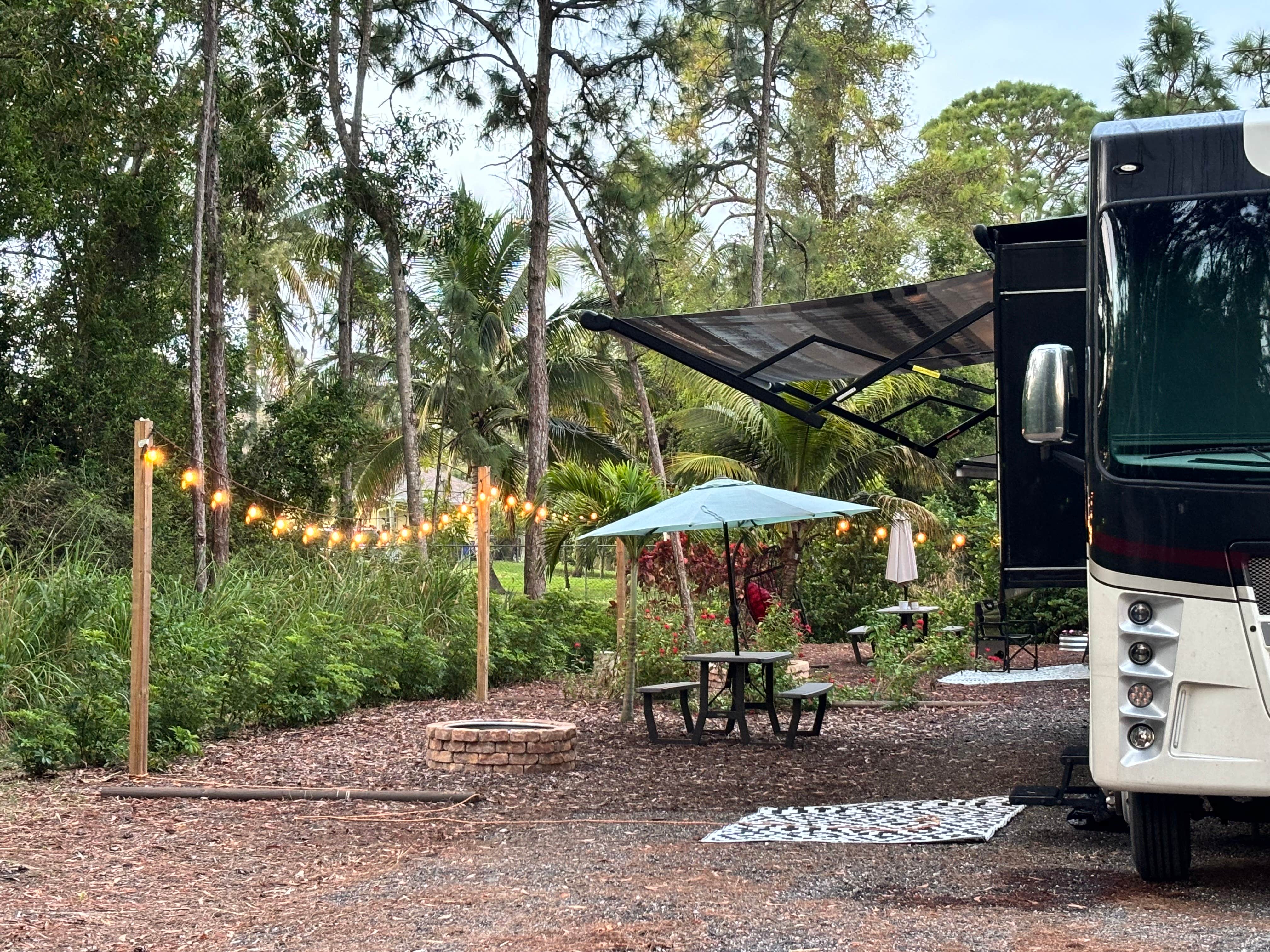 Toni C.'s photo at Poolside Pines RV Parking with Pool & Hot Tub near Jupiter, FL