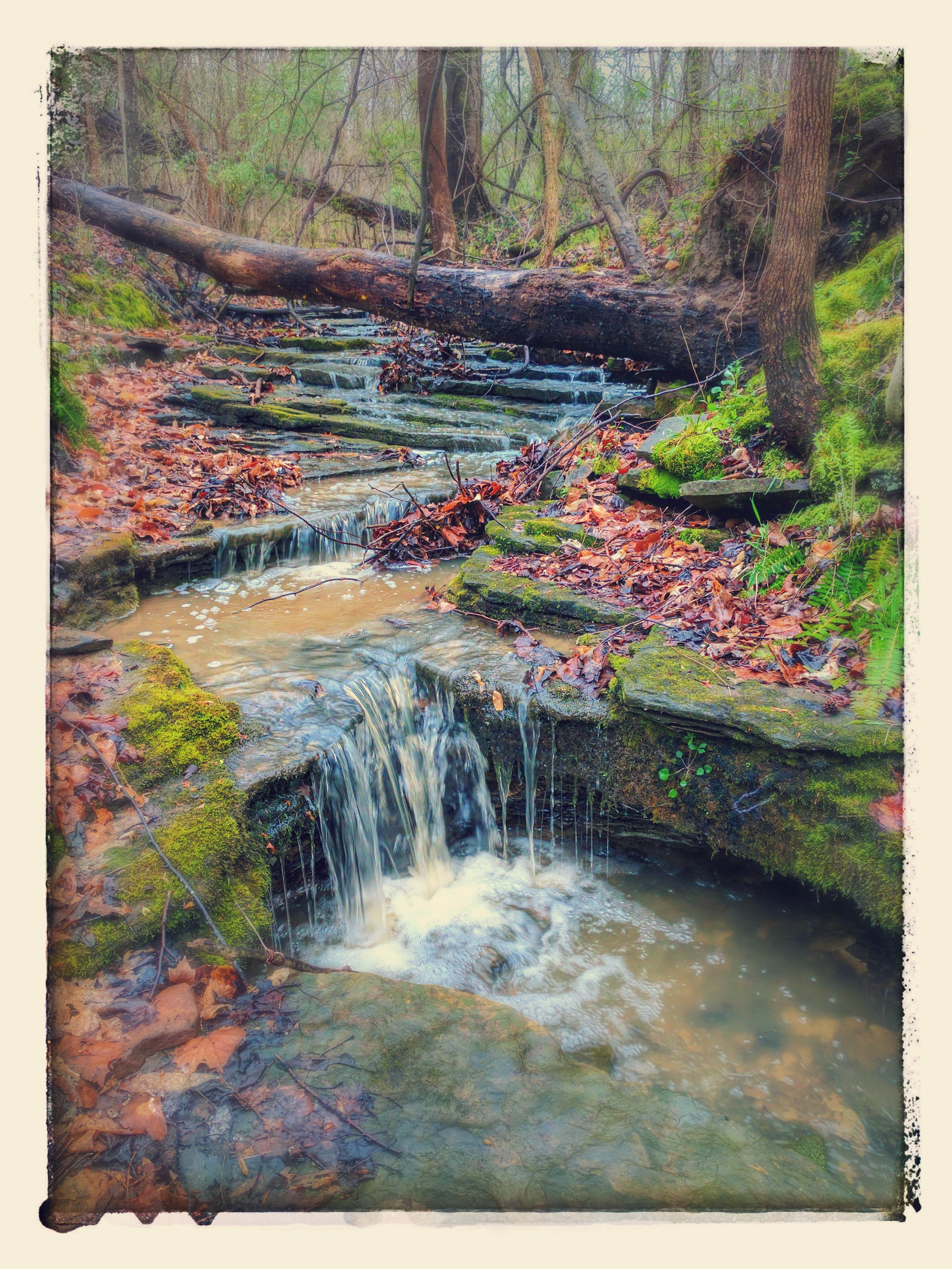 Camper-submitted photo at Wine Trail Wilderness near Pomona, IL