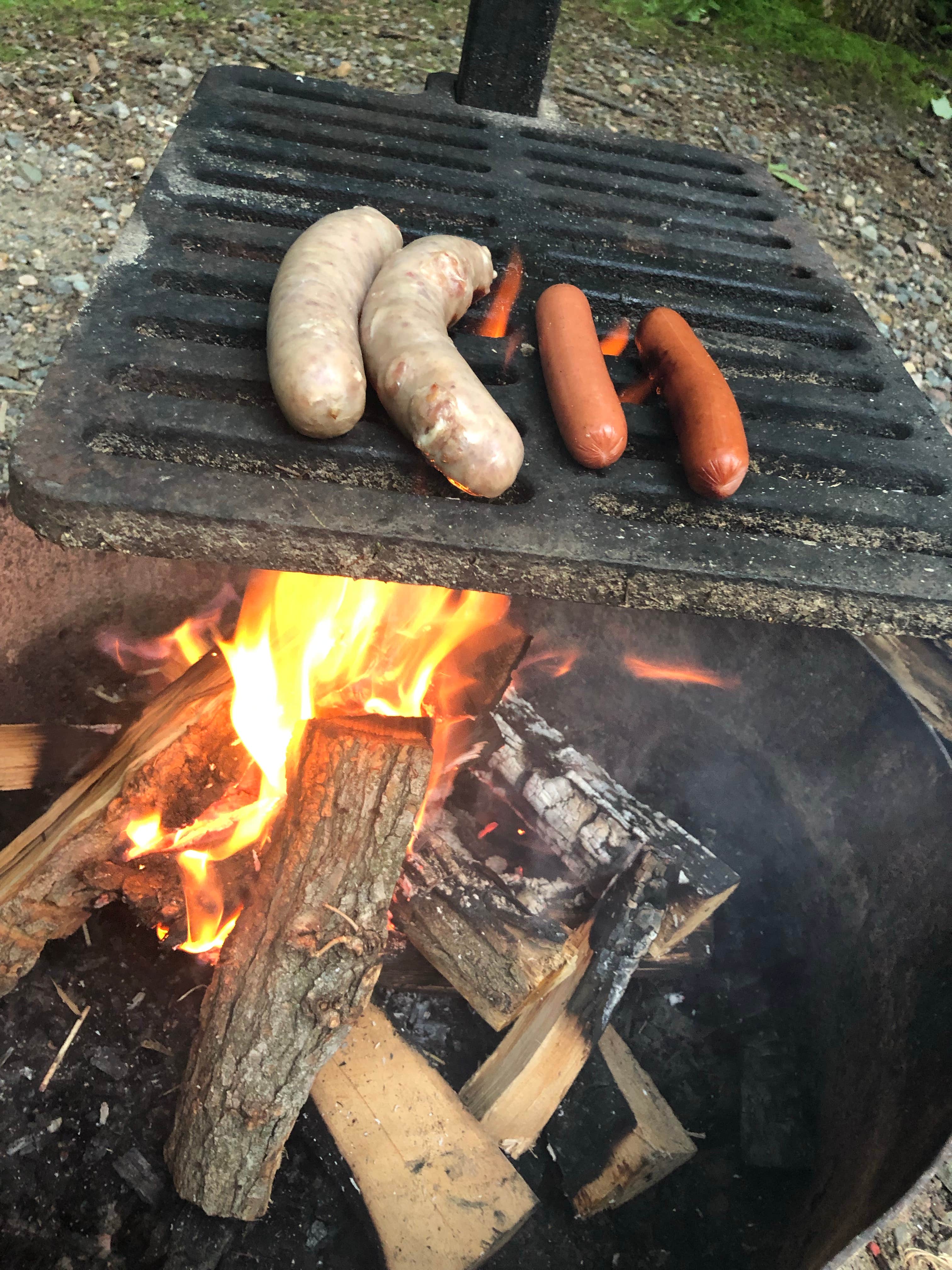 Allison  K.'s photo of camping with pets at Leech Lake Recreation Area & Campground near Deer River, MN