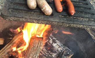 Allison K.'s photo of camping with pets at Leech Lake Recreation Area & Campground near Bigfork, MN