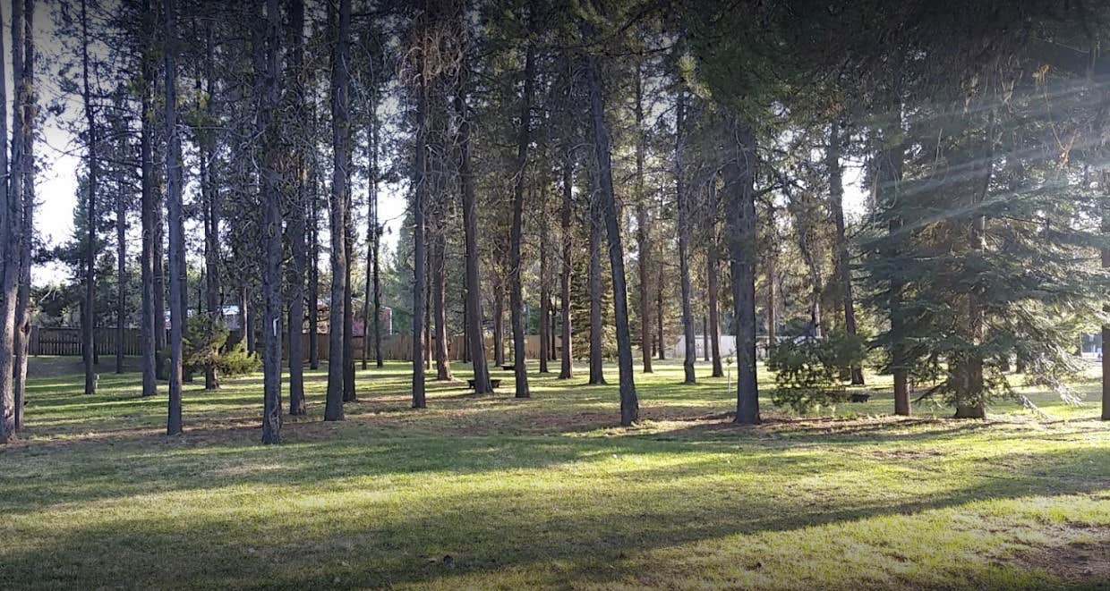 Camper-submitted photo at Clear Creek Station near Cascade, ID