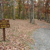 Review photo of Shawnee State Park Campground by Lee D., February 16, 2025