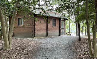 Lee D.'s photo of glamping accommodations at Trap Pond State Park Campground near Delmar, DE