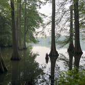 Review photo of Trap Pond State Park Campground by Lee D., February 16, 2025