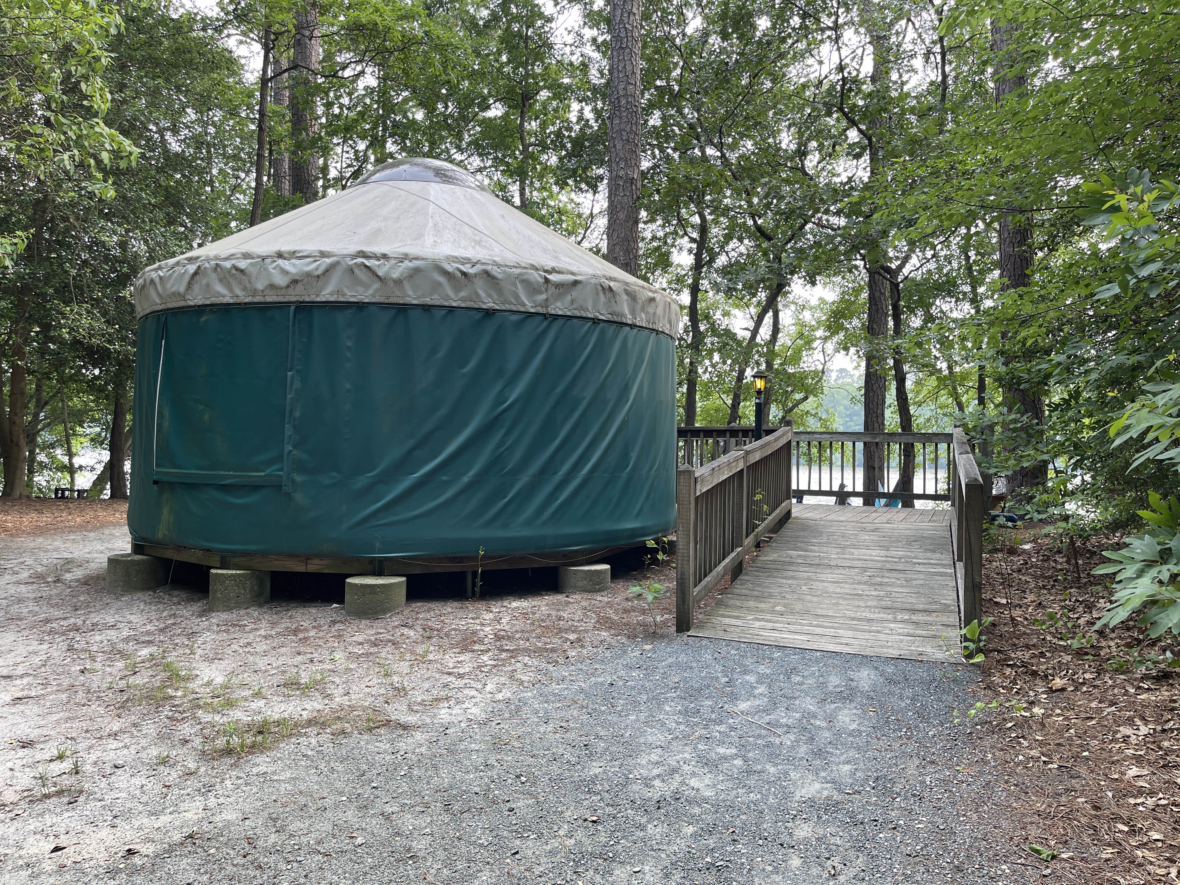 Lee D.'s photo at Trap Pond State Park Campground near Laurel, DE