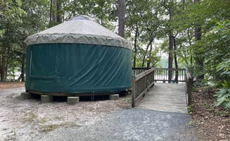 Lee D.'s photo at Trap Pond State Park Campground near Denton, MD