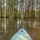 Review photo of Trap Pond State Park Campground by Lee D., February 16, 2025