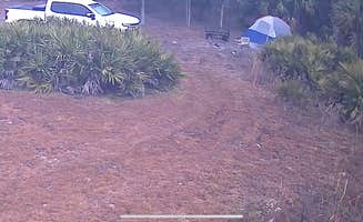 Joseph P.'s photo at Cristal Camping 🏕️ Fl near Inglis, FL